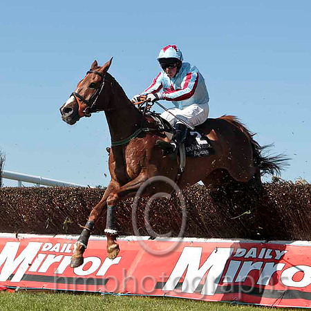 Royal Ranger - 2nd, Jockey Mr R O'Sullican - CU2D4752-e