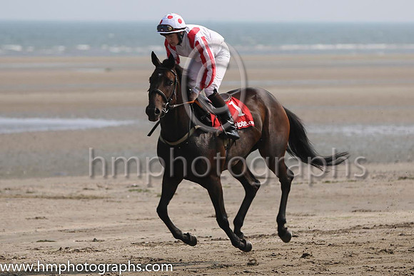 3 City of Culture and W J Lee - - 3rd (1 ,white, red epaulettes ) Trainer - W McCreery
