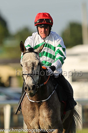 PU Curlew Hill and Corey McGivern(7) (2 ,green and white chevrons ), Trainer:Gordon Elliott , Owner:Bective Stud