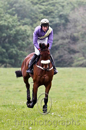 Aghavillar , 2nd, Jockey W Thompson - FT8E2783-e
