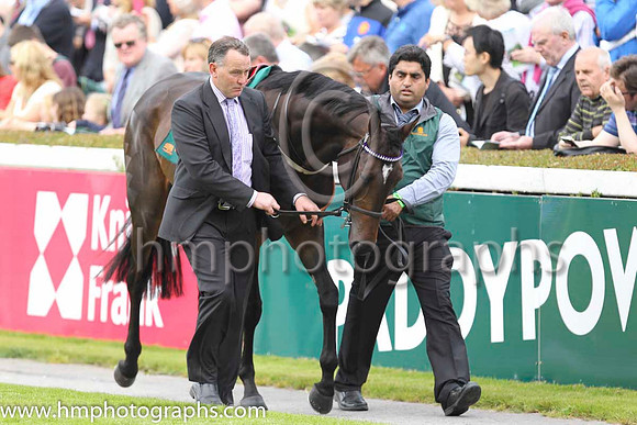 Race 1 at Leopardstown on Champions Day