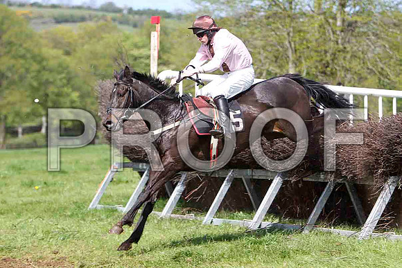 Obispo , 4th, Jockey M J O'Hare - FT8E1995-e