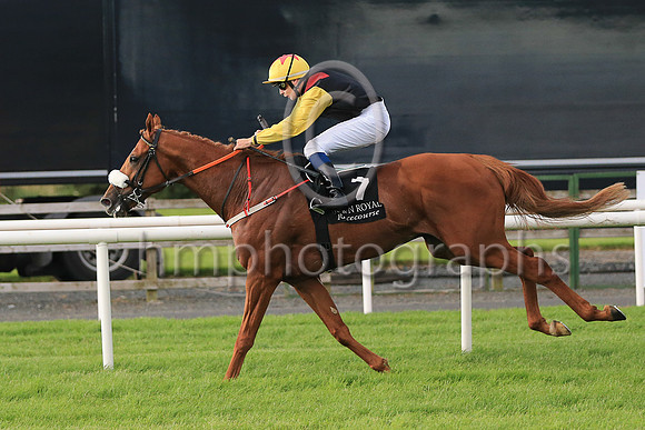 01st The Tartan Spartan  Ronan Whelan (7, black, red epaulettes) Trainer John Patrick Shanahan, Owner Thistle Bloodstock Limited