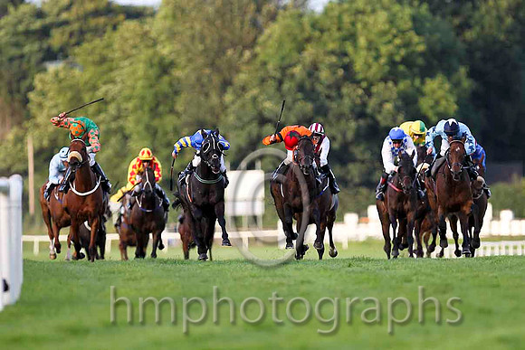 Windsor Pride & C D Hayes - Winner (12, Orange, Black star) - CU2D3428-e