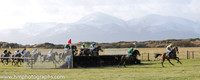 11 Lethiratit (11)  B O'Neill - PU Trainer : Colin Bowe, Blue and yellow halves