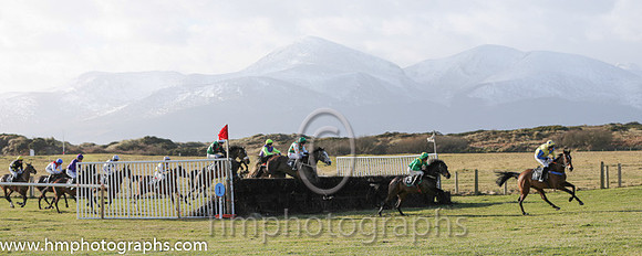 11 Lethiratit (11)  B O'Neill - PU Trainer : Colin Bowe, Blue and yellow halves