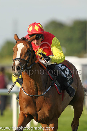 14th Minella Moment and Cian Chester(7) (15 ,red, yellow diamond ), Trainer:Gordon Elliott , Owner:Call It What You LikeSyndicate
