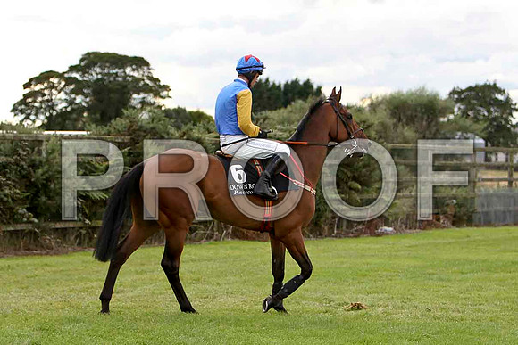 Shenao , Jockey M Darcy - CU2D1987-e