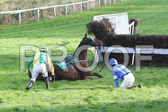 Sir Ejay Jockey S W Jackson on the floor as well as The Real Tyson - Jockey P Townend -FT8E4913-e