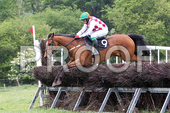 Dunadry Girl , PU, Jockey - J A Jenkins - FT8E2664-e