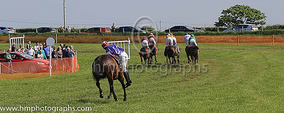 TULLYORIOR and R A Devine ( 10 , PURPLE; white sleeves; red cap,white star ) Trainer: Catherine Barry , Owner : Catherine Barry