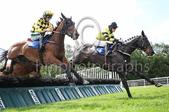 13th Glenbank King  ( 14 , yellow ) Trainer - L Smyth , Owner - Victor Robinson