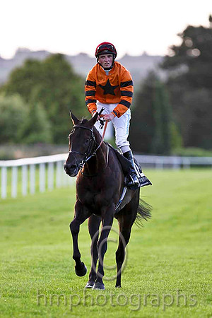 Windsor Pride & C D Hayes - Winner (12, Orange, Black star) - CU2D3485-e2