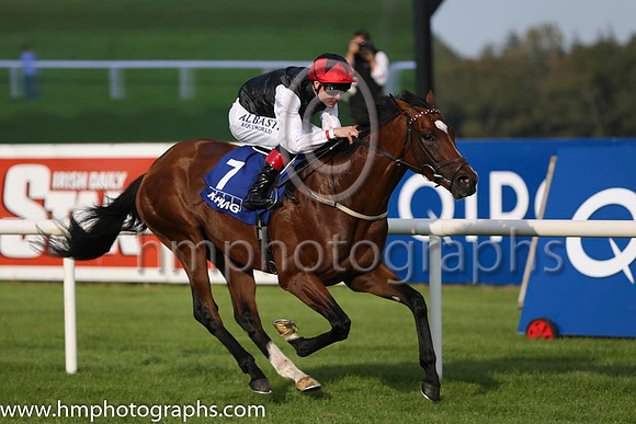 01 Free Eagle and P J Smullen - - 01st (7 ,black, white sleeves, red cap black star ) Trainer - D K Weld