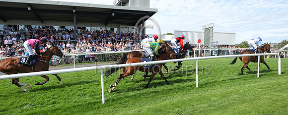 01st Typical Thomas (9 , blue, white diabolo ) Jockey: Peter Smithers7 , Trainer: James Andrew Fahey