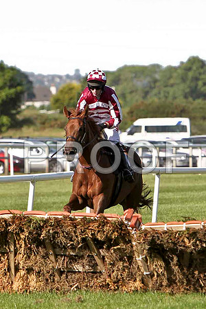 Sharpeye 17th Jockey N P Madden - CU2D0115-e2
