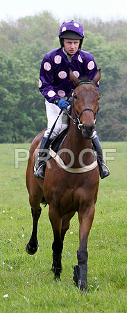 Terryhoogan Boy , PU, Jockey N McParlan - FT8E2699-e
