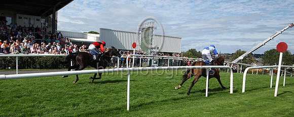 01st Typical Thomas (9 , blue, white diabolo ) Jockey: Peter Smithers7 , Trainer: James Andrew Fahey