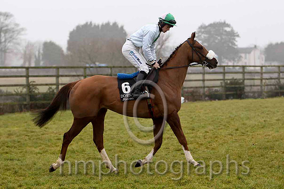 Couleur De La Loi - Jockey I J McCarthy - 11th - CU2D1786-e