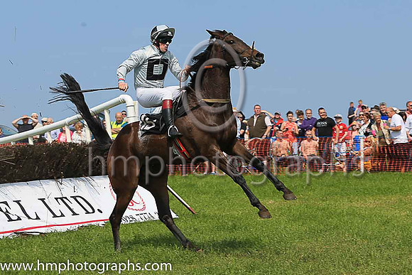 02nd POTTLEREAGHEXPRESS and F J harford ( 15 , GREY,black hollow box; grey sleeves; grey  black qtd cap ) Trainer: Fergal J. Harford , Owner : Patrick Harford