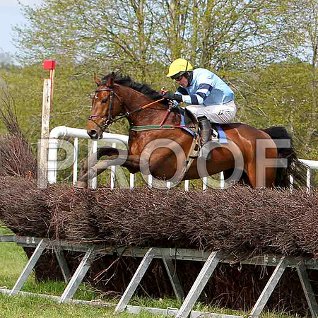 Bear Witness , Winner, Jockey - Derek O'Connor - FT8E2061-e4