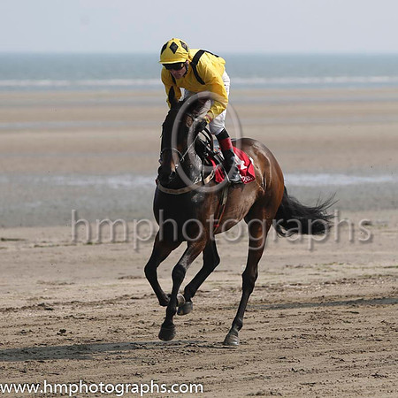 2 Doonard Prince and P J Smullen - - 2nd (4 ,yellow, black braces ) Trainer - Ross O'Sullivan