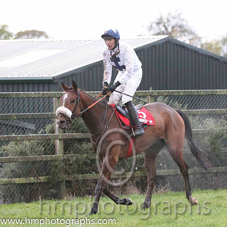 01 Moonshine Lad & Mr S Clements - winners (5, white, dark blue cross) - FT8E0548-5