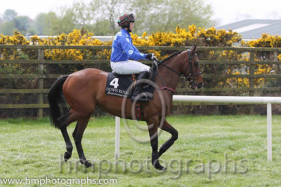 05 Slivegullion Girl & R P Treacy - 5th (4, royal blue, light blue spots ) - FT8E6050-7