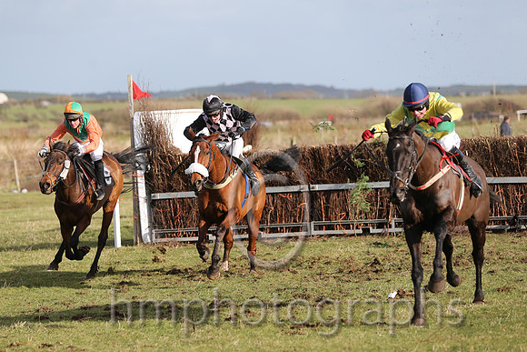 01 Mr Bolt  D H Lavery - Trainer : Sean McParlan, Black and tan check