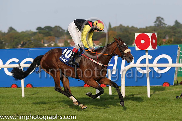 07 Maid of the Glens and R P Whelan - - 07th (10 ,black, red epaulettes ) Trainer - J P Shanahan