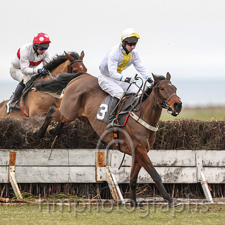 03 Harps Counsel & S F Magee - 3rd (3, white, yellow panel ) - CU2D6015-9
