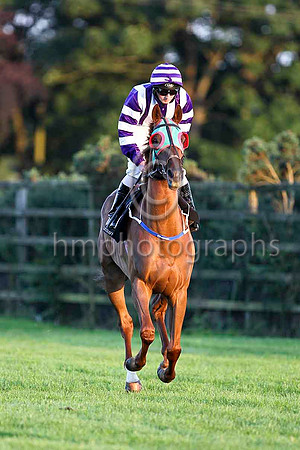 Solo Performer & C D Hayes - 6th (1, purple and white stripes)  - CU2D3517-e