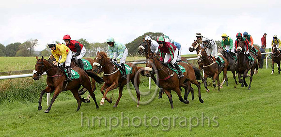 Brer Rabbit , Jockey S E Butler in the lead - Fell - CU2D2250-e