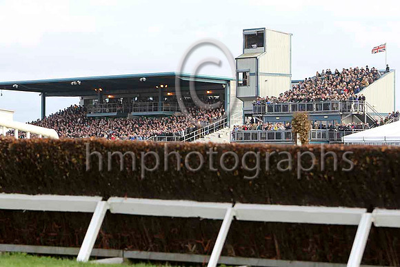 The stands full to the brim at Down Royal - CU2D1096-e3