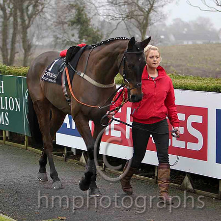 Drumbaloo - Jockey R C Colgan - 4th - CU2D1772-e