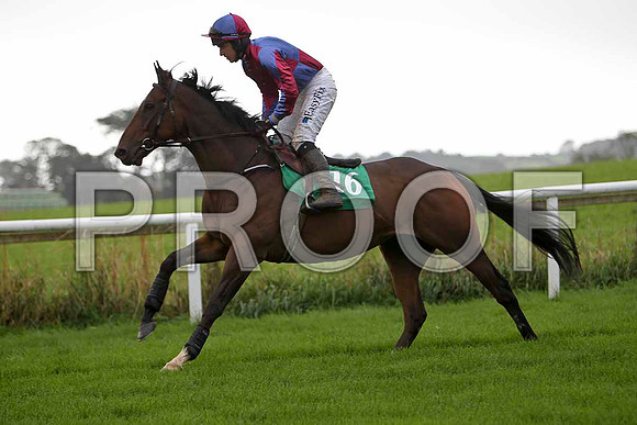 Baynes Cross , Jockey D J Condon - 4th  - CU2D2285-e