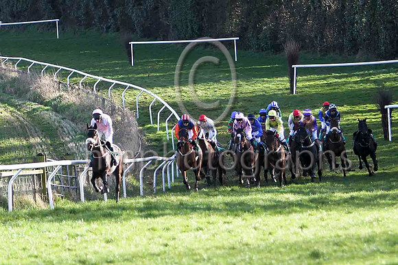 Call Box (3 black hat) & Mr B G Crawford - Winner - in centre of field - FT8E9821-e