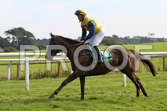 Maggie Sue 7th, Jockey Mr J P McKeown - FT8E3187-e