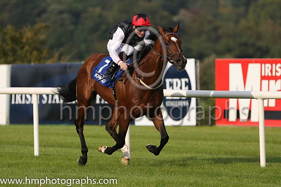 01 Free Eagle and P J Smullen - - 01st (7 ,black, white sleeves, red cap black star ) Trainer - D K Weld