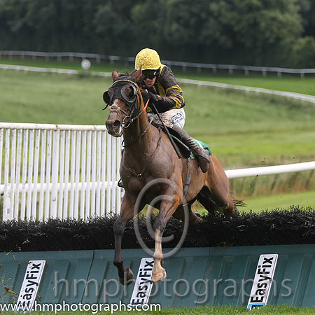 08 Josam & B Hayes - 8th (7, yellow. black panel) - AA1V0940