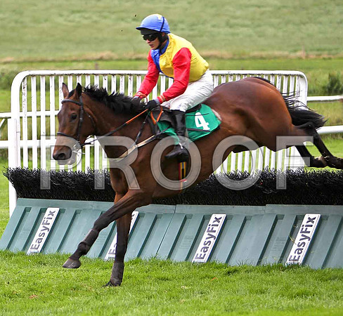 Comme Je Trouve 10th, Jockey T G M Ryan - CU2D0860-e