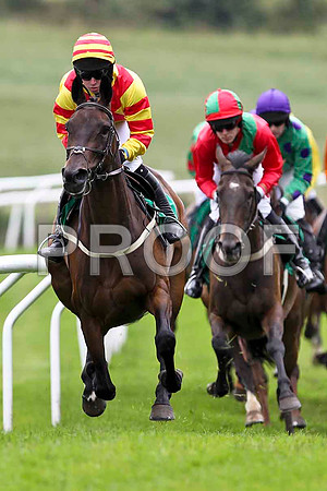 Tear Drops in the lead, finished 4th, Jockey Mr J P McKeown, Heather Rose 12th, Jockey Mr B O'Neill & Nodelay 7th, Jockey Mr J O'Hare - FT8E1786-e