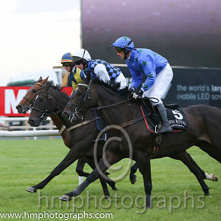 08 Rocking Bishop and Mr A H Wells - - 08th (5 ,blue, black stars ) "