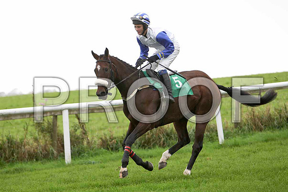 Market Watcher , Jockey C J Bailey - 2nd - CU2D2293-e