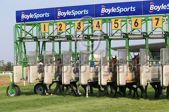 The start of Her Majesty's Plate (Listed Race) at Down ROyal on Friday 23rd July 2021