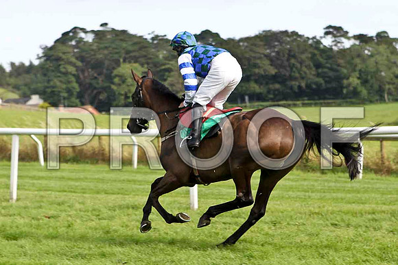 Marvelle Lady 5th, Jockey Mr S Crawford- FT8E3152-e