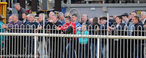 Spectators at Down Royal on Musgrave Northern Ireland Race Day at Down Royal
