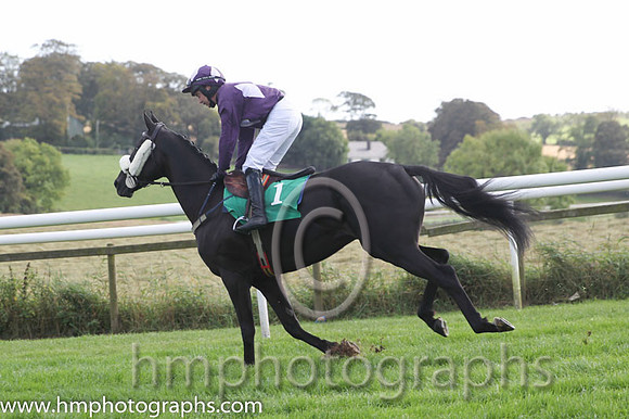 FT8E3940