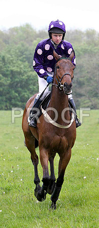 Terryhoogan Boy , PU, Jockey N McParlan - FT8E2700-e
