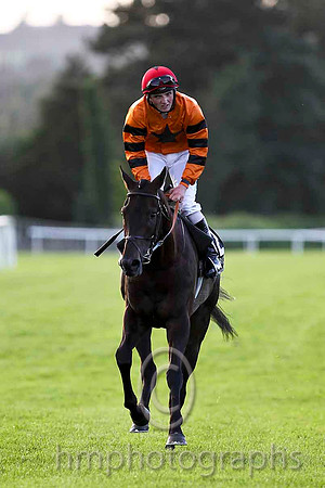 Windsor Pride & C D Hayes - Winner (12, Orange, Black star) - CU2D3483-e2